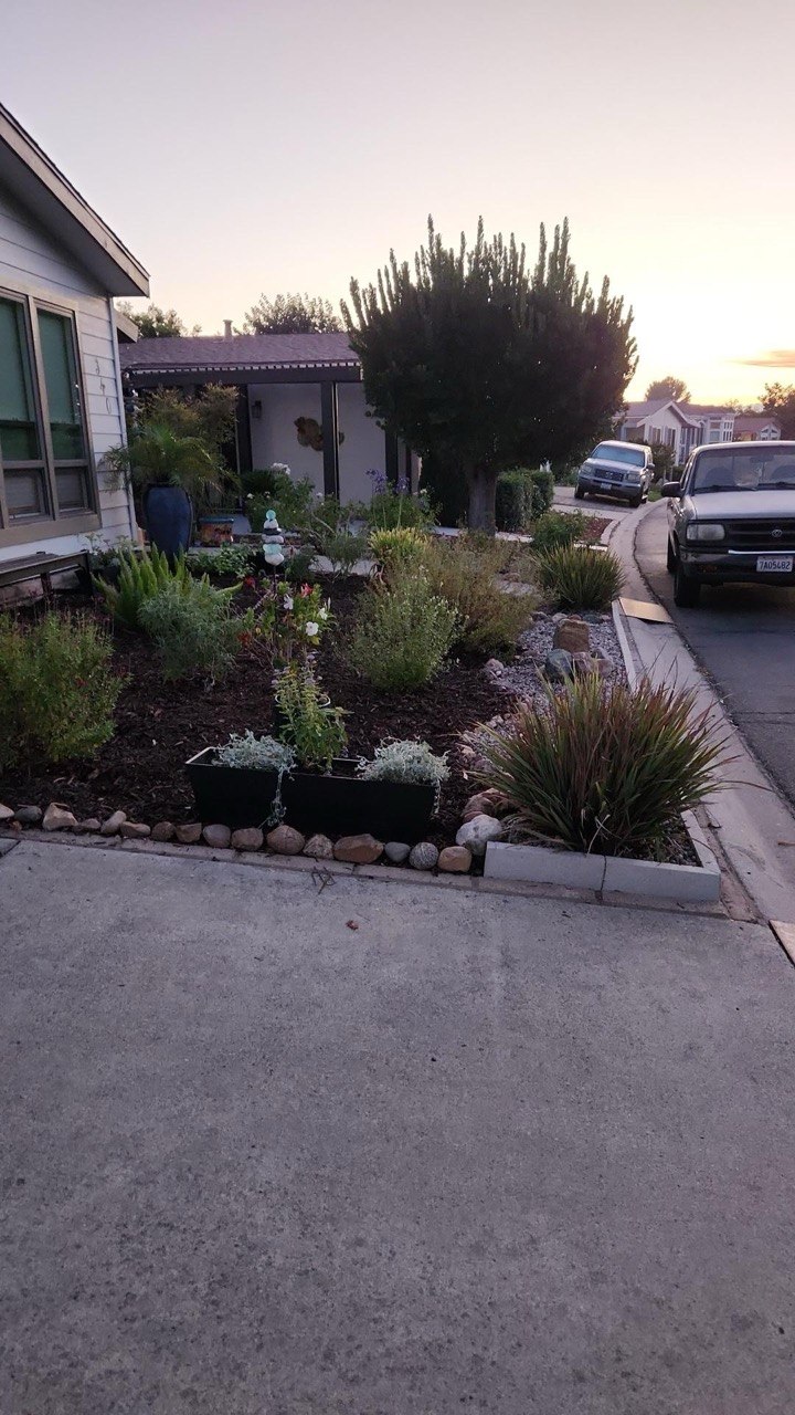 CoastCare yard cleanup case photo 2