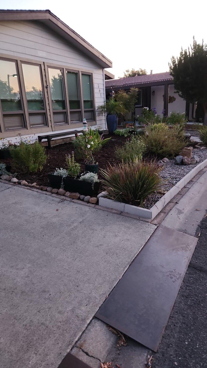 CoastCare yard cleanup case photo 4