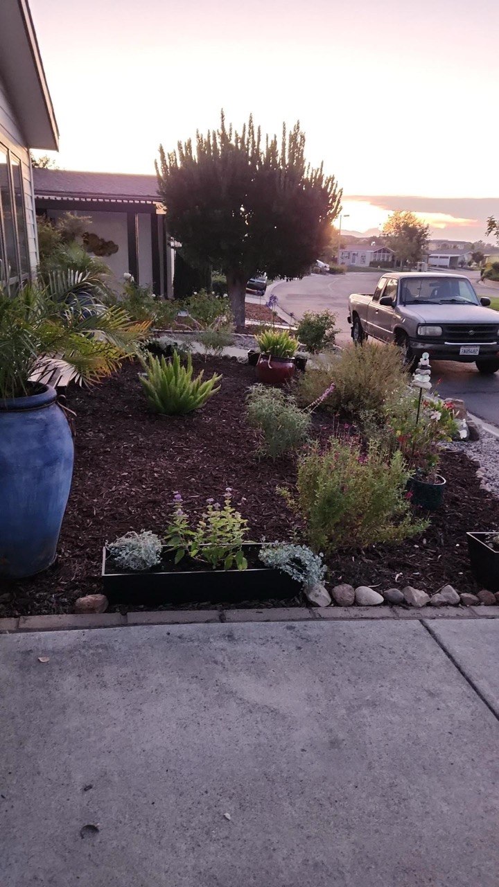 CoastCare yard cleanup case photo 3