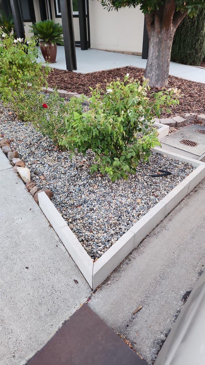 CoastCare yard cleanup case photo 6