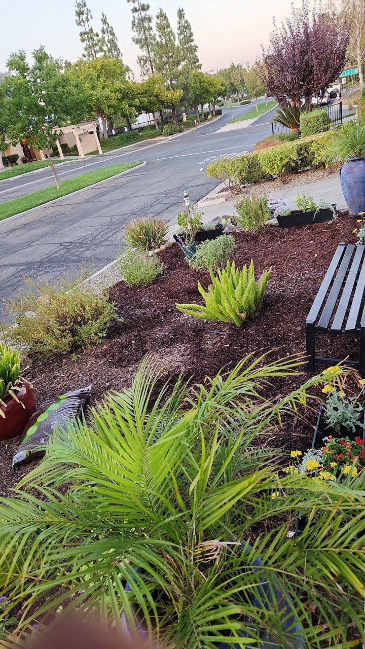 CoastCare yard cleanup case photo 9
