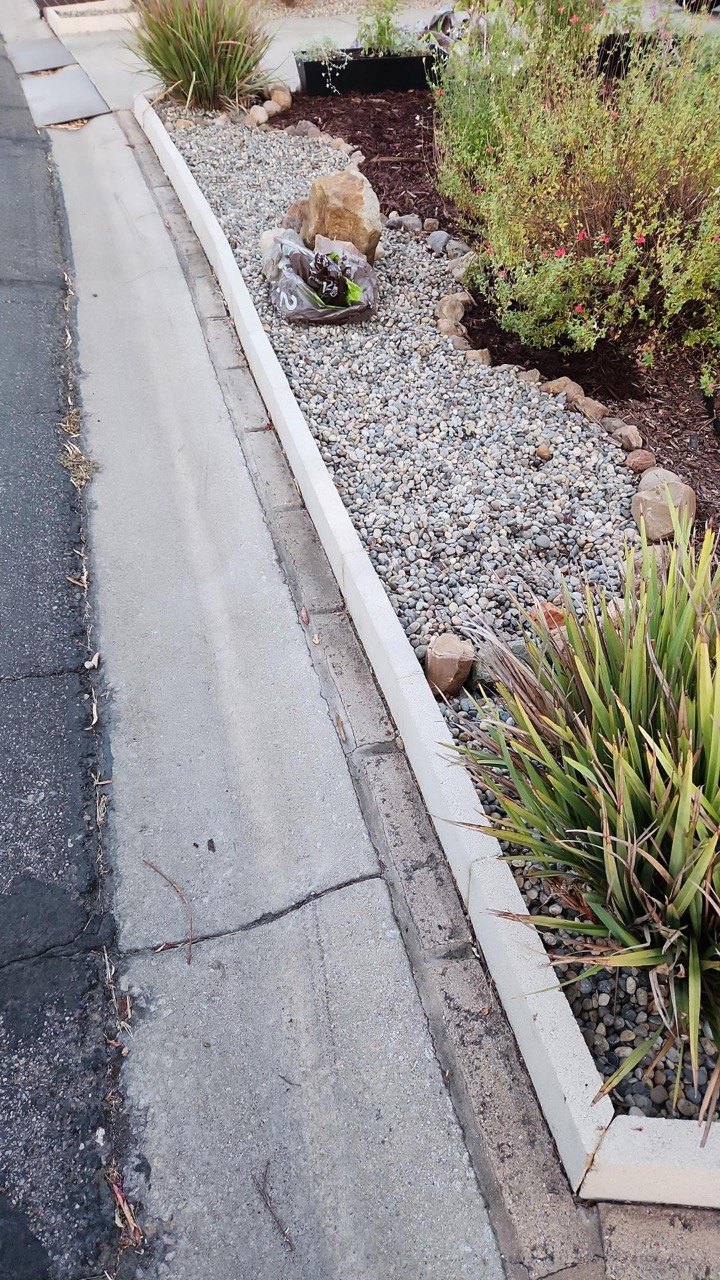 CoastCare yard cleanup case photo 7