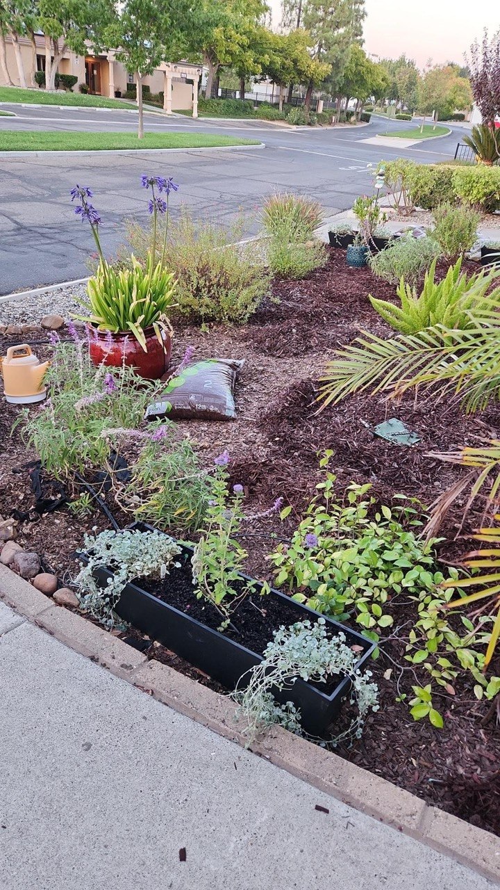 CoastCare yard cleanup case photo 11
